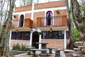 Finca de los Leones - Cabaña Primavera